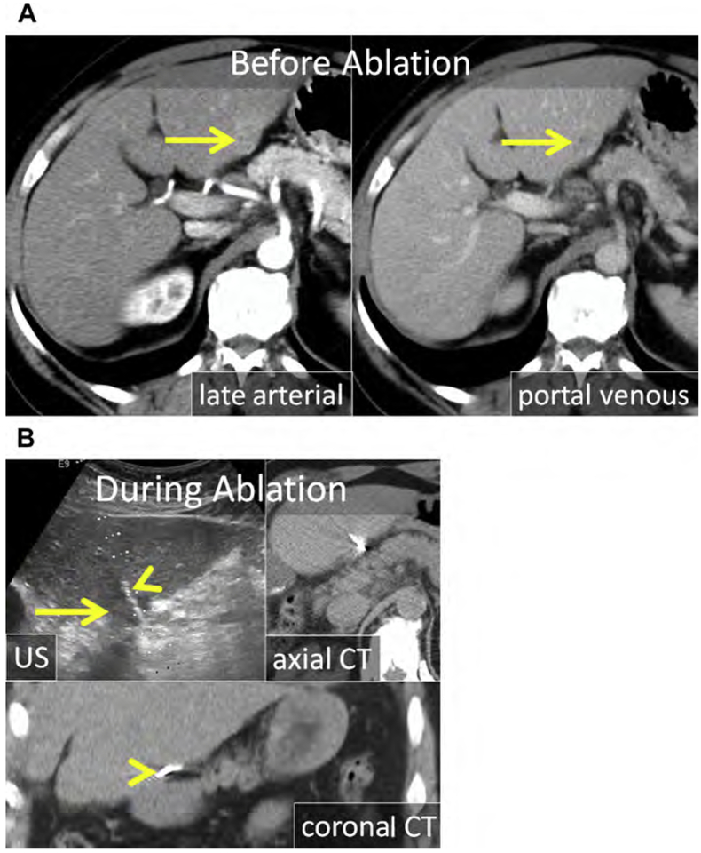 Fig. 8.