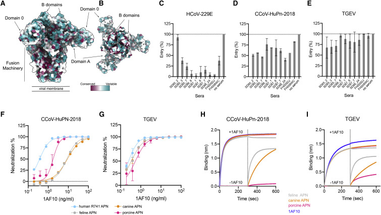 Figure 6