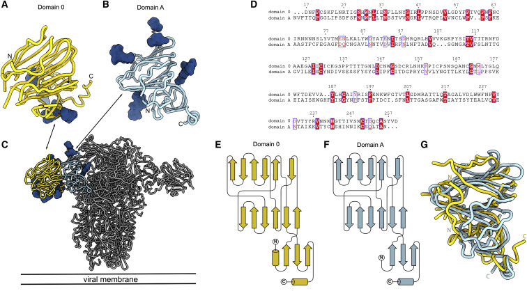 Figure 2