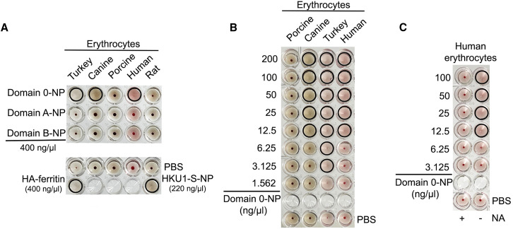 Figure 3