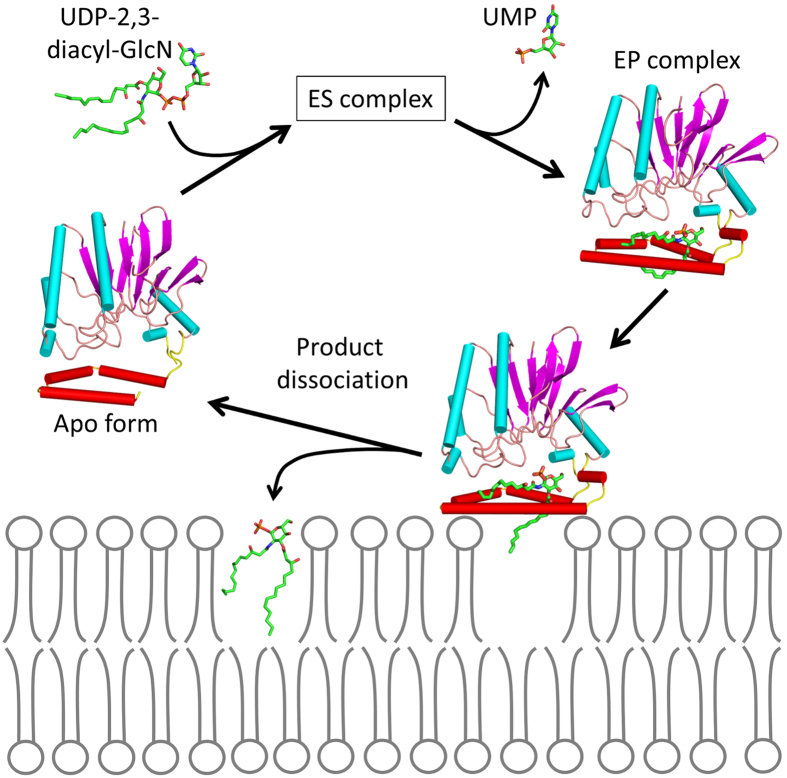 Figure 6