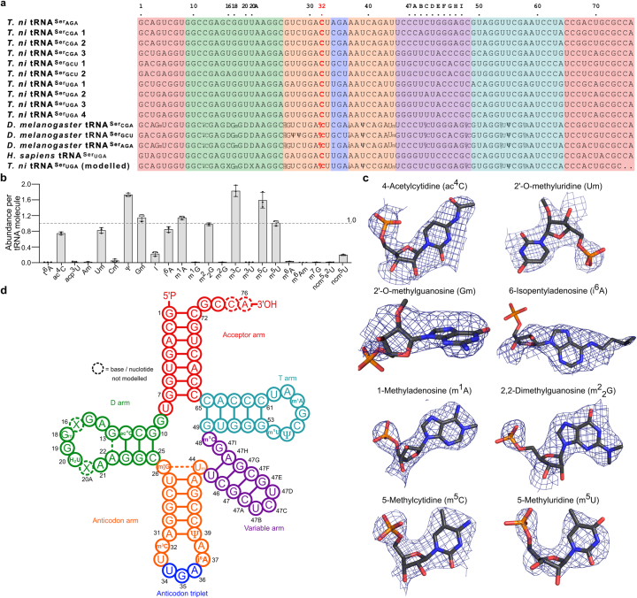 Extended Data Fig. 6