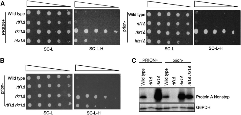 Figure 7 