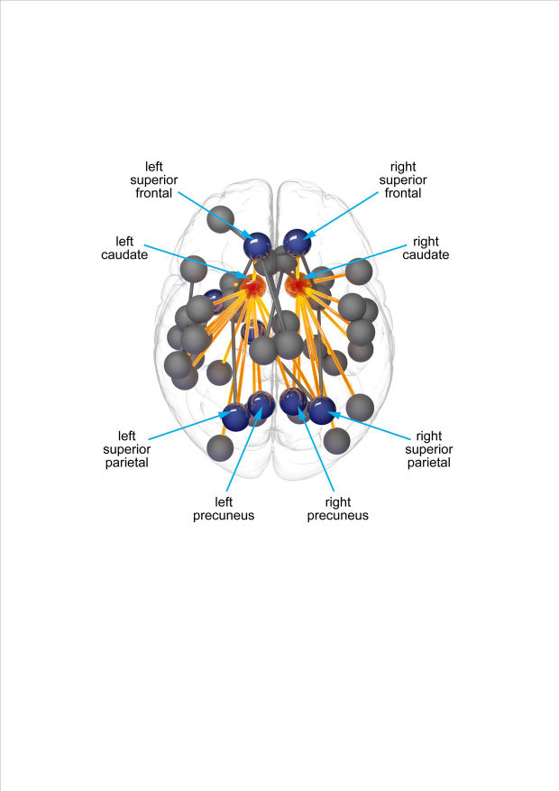 graphic file with name awv259fig1g.jpg