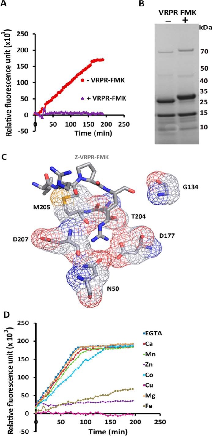 FIGURE 3.