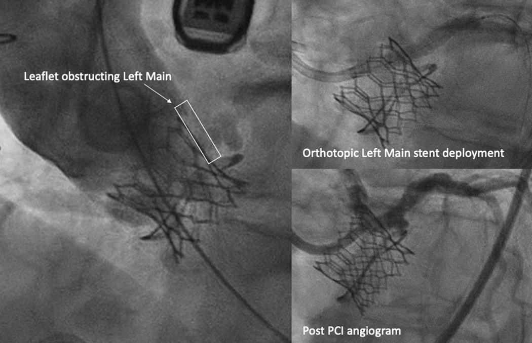 Figure 6: