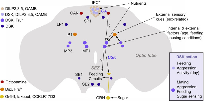 Fig. 6