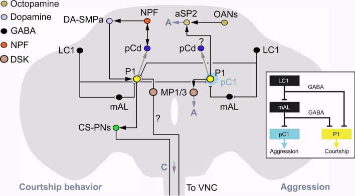 Fig. 7