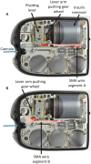 Figure 2.