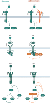 Figure 3.