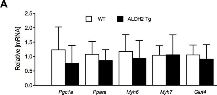 Supp Fig. 1