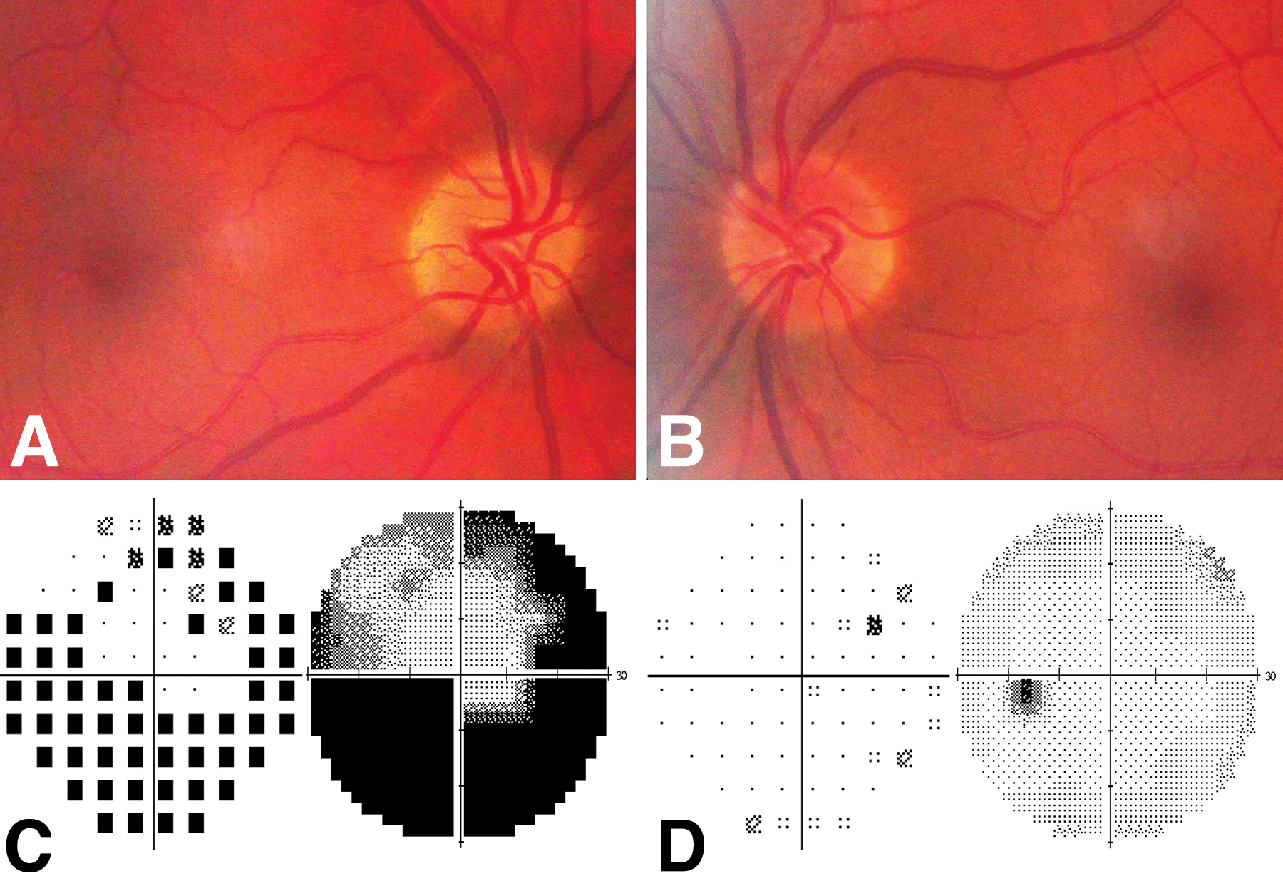 Figure 1: