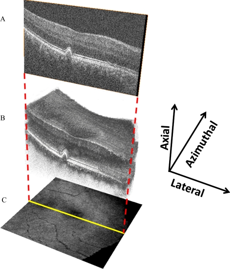 Figure 1.