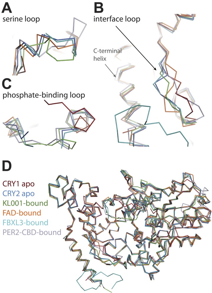 Figure 4—figure supplement 2.