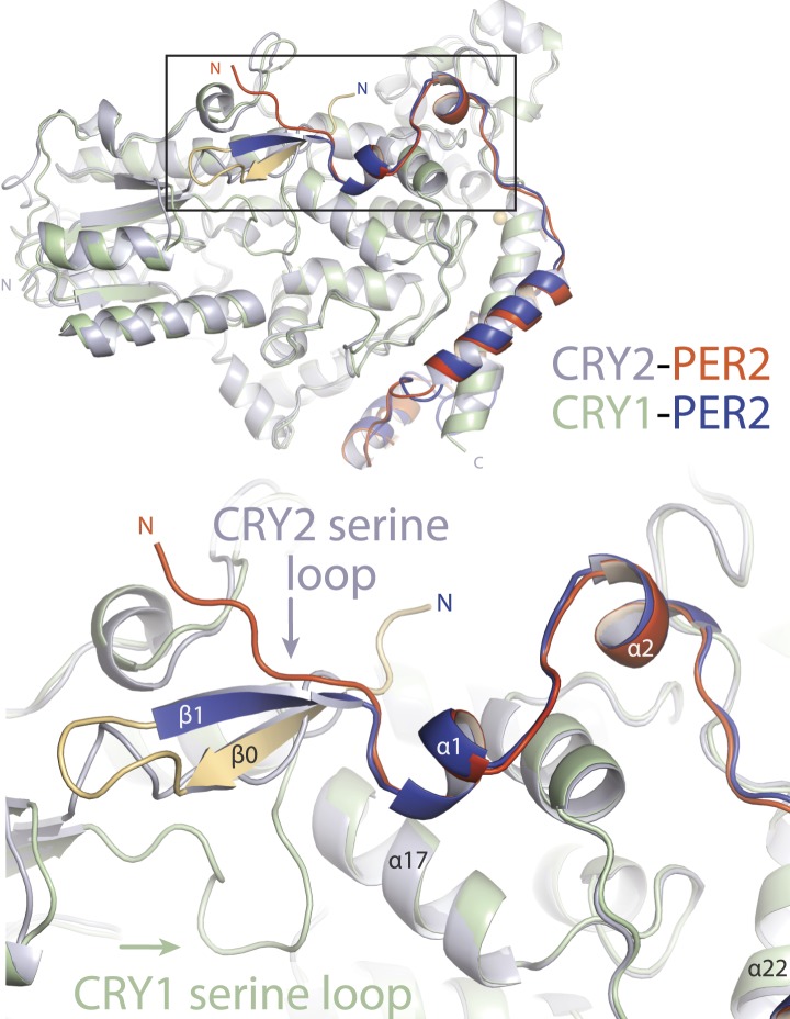 Figure 4—figure supplement 3.