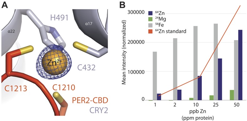 Figure 3—figure supplement 1.