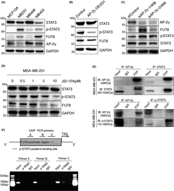 FIGURE 6