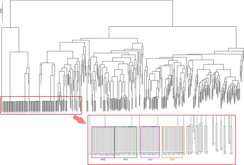 Fig. 3