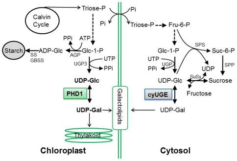 Figure 10