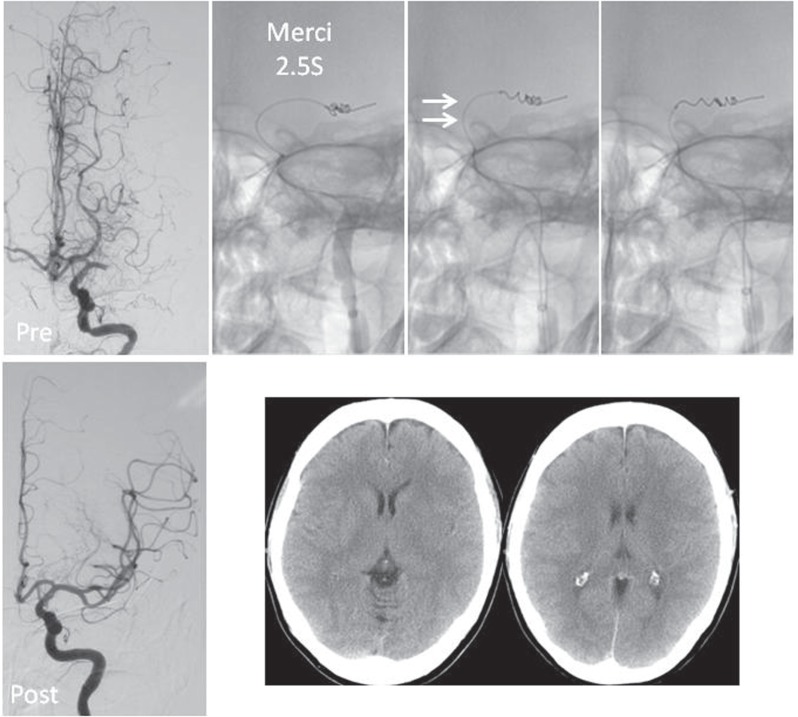 Fig. 3