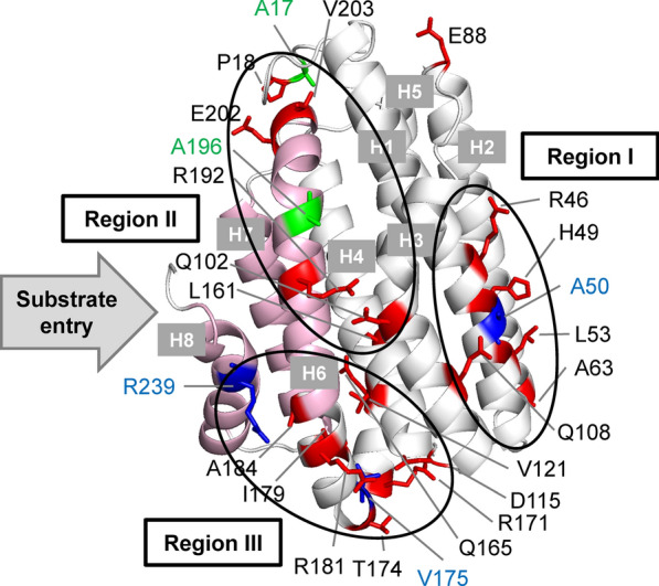 Fig. 11