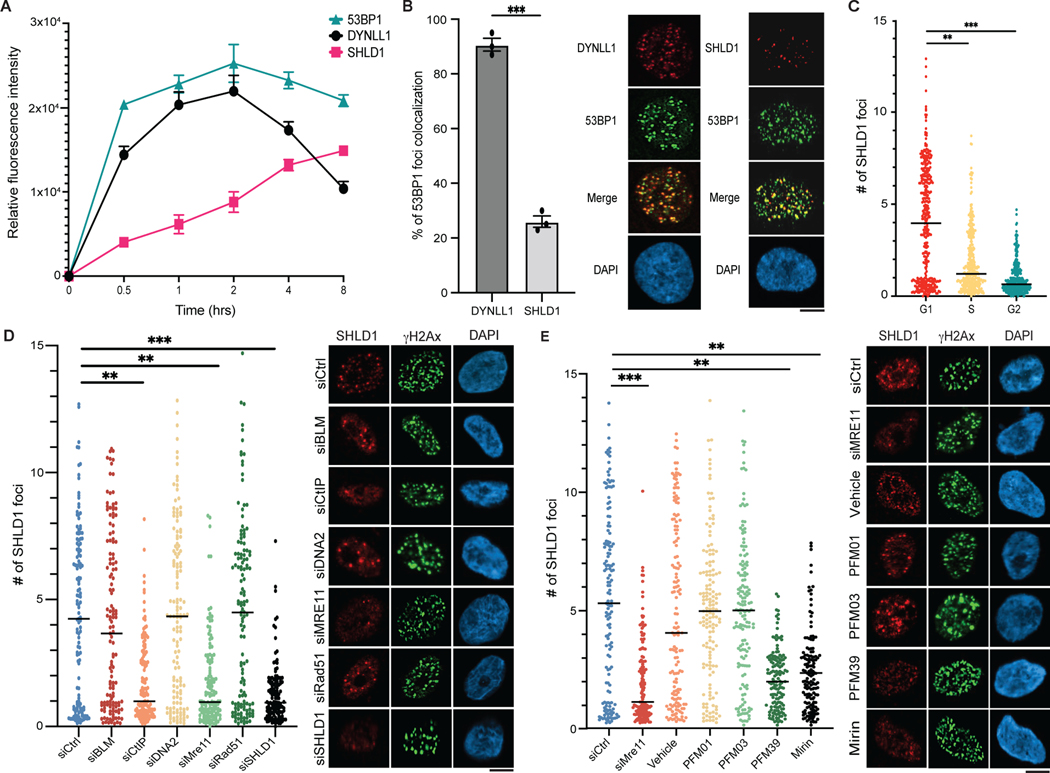 Fig. 6: