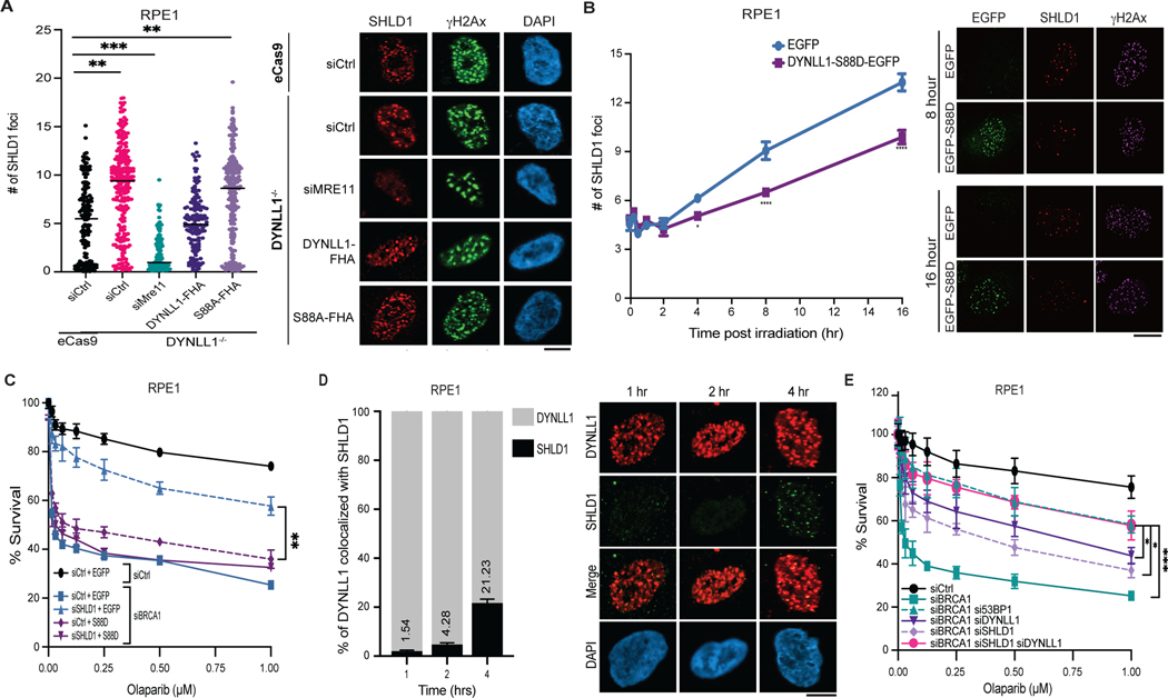 Fig. 7: