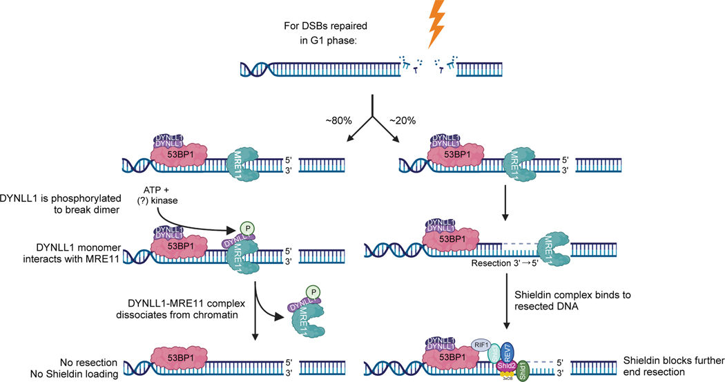 Fig 8: