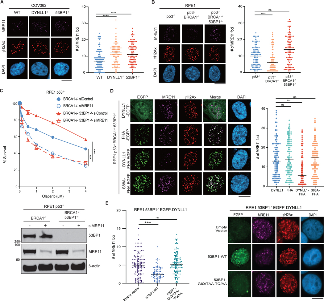 Fig. 2: