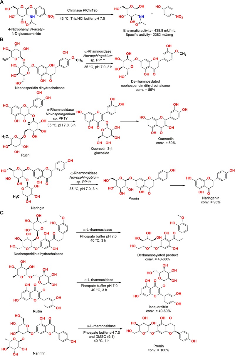 FIGURE 12