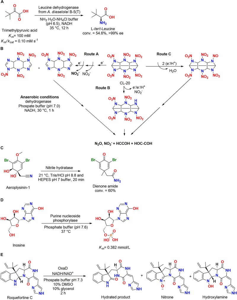 FIGURE 15