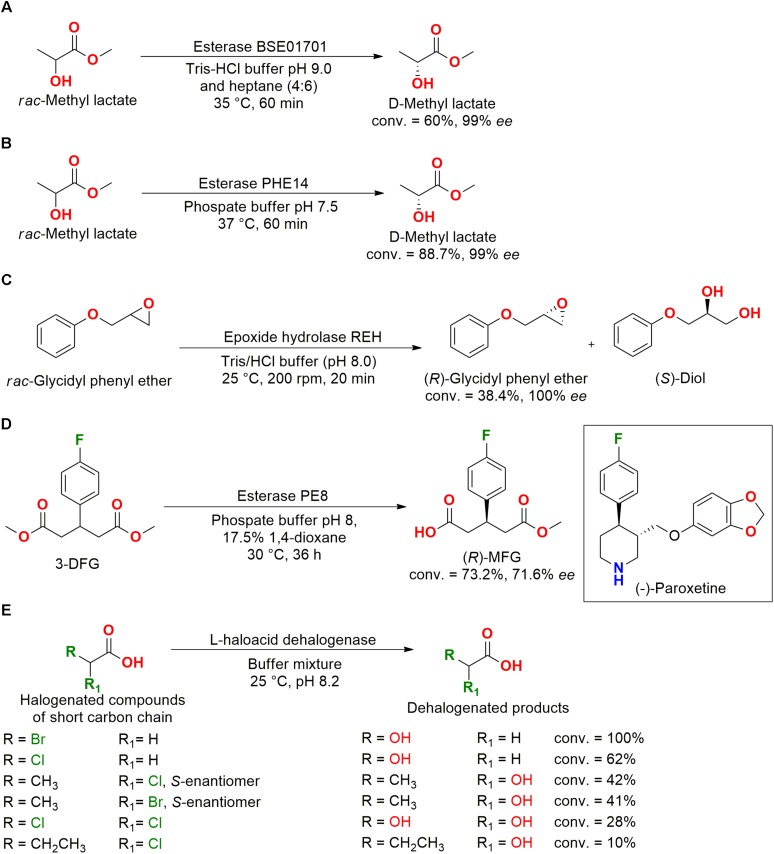 FIGURE 11