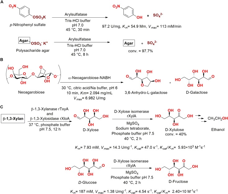 FIGURE 13