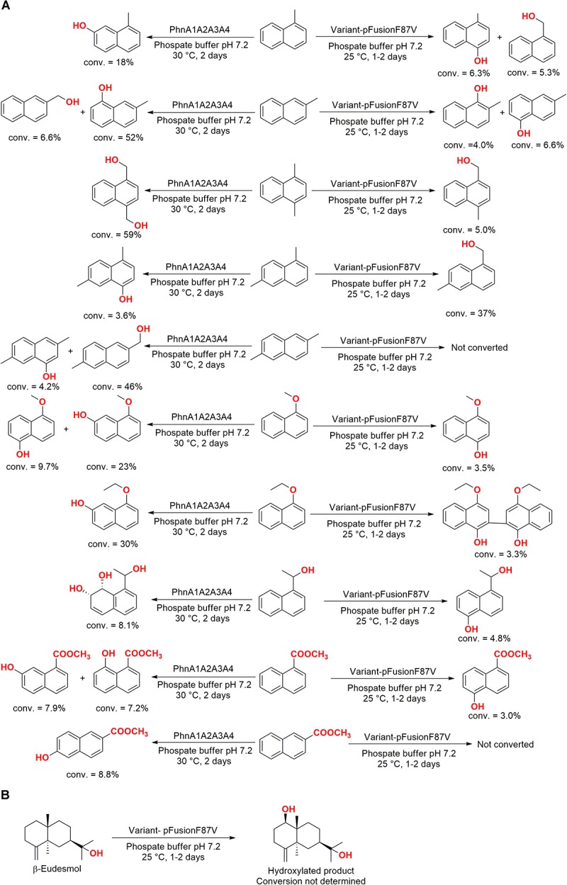 FIGURE 9