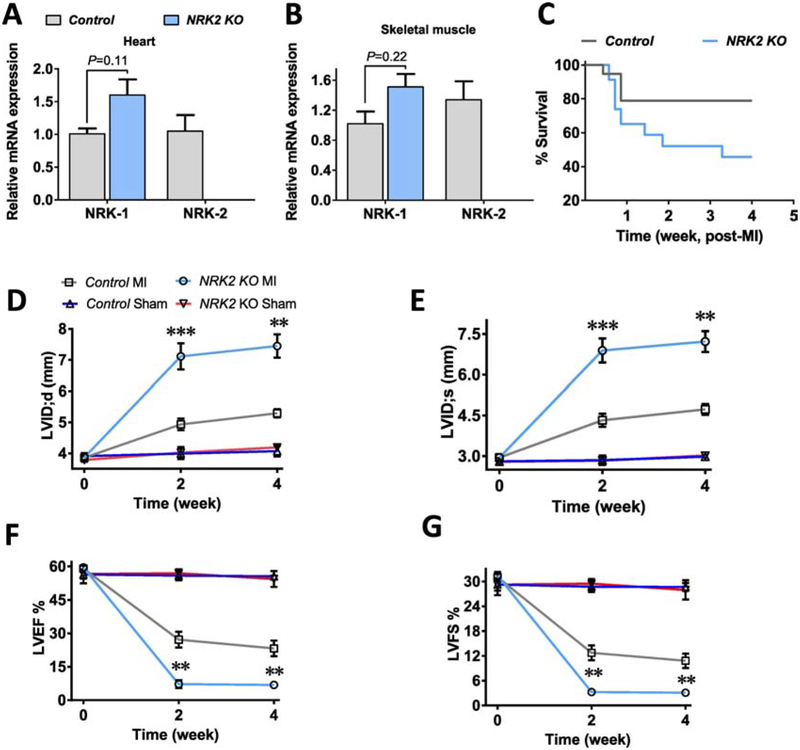 Figure 2;