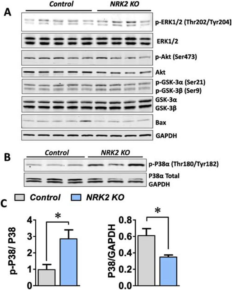 Figure 5;