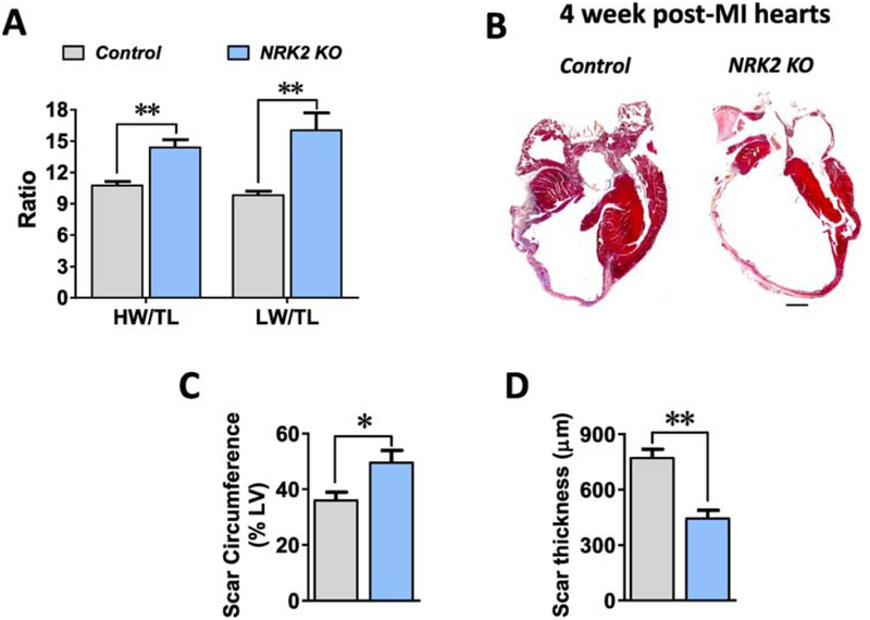 Figure 3;