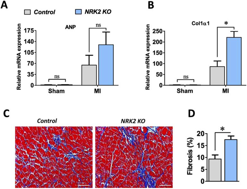 Figure 4;