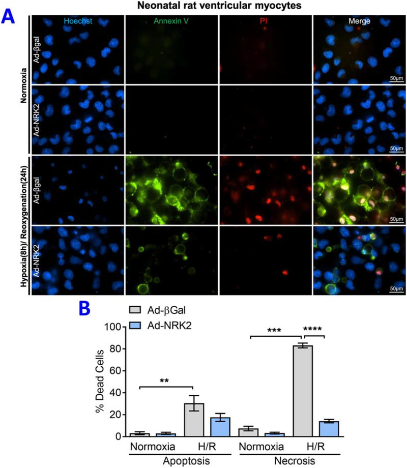 Figure 6;