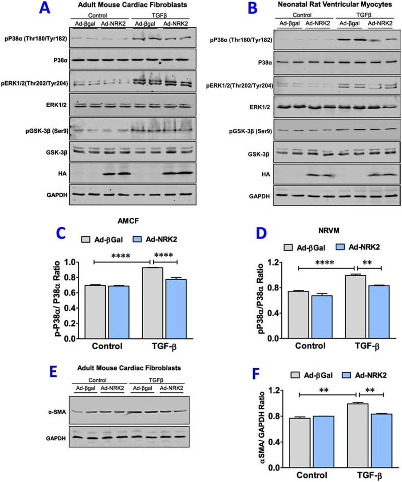 Figure 7;