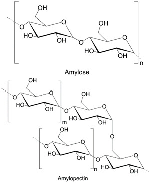 graphic file with name polymers-14-04189-i006.jpg