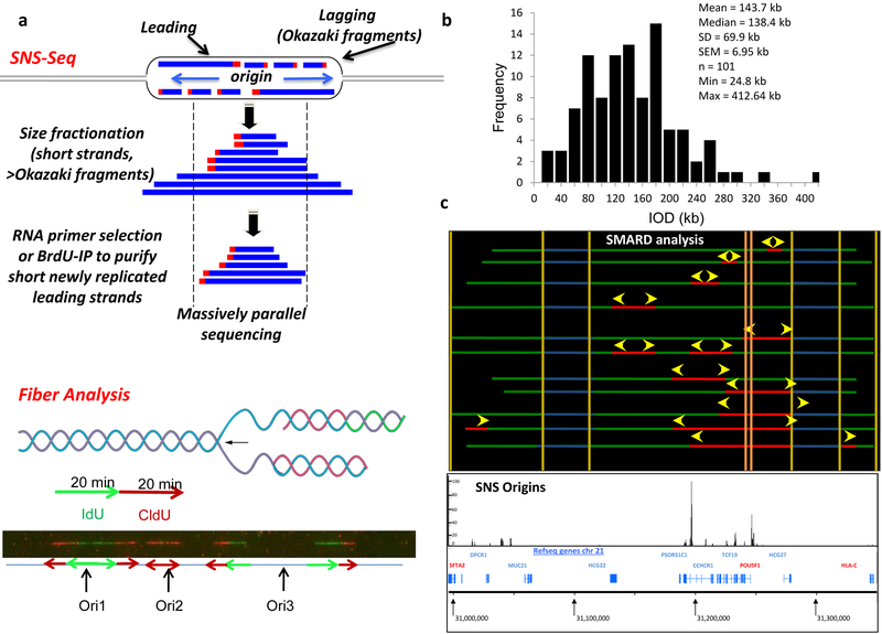 Figure 1: