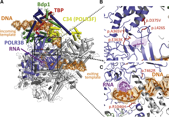 Figure 1