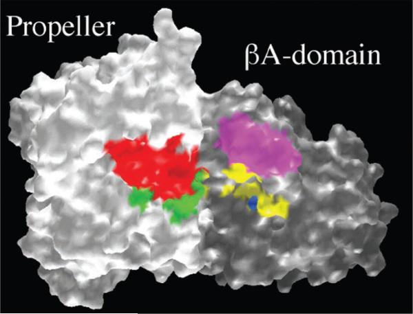 Fig. 6