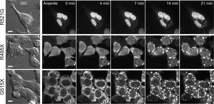 Figure 3.