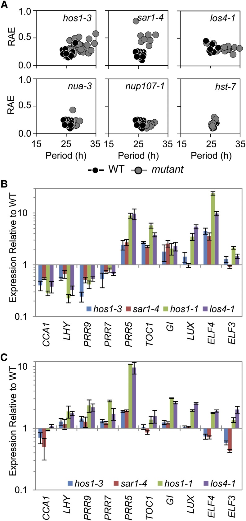 Figure 6.