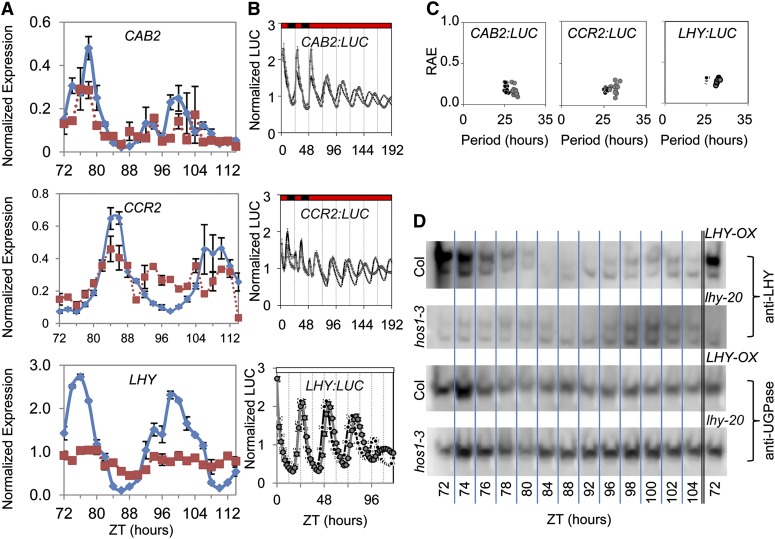 Figure 4.