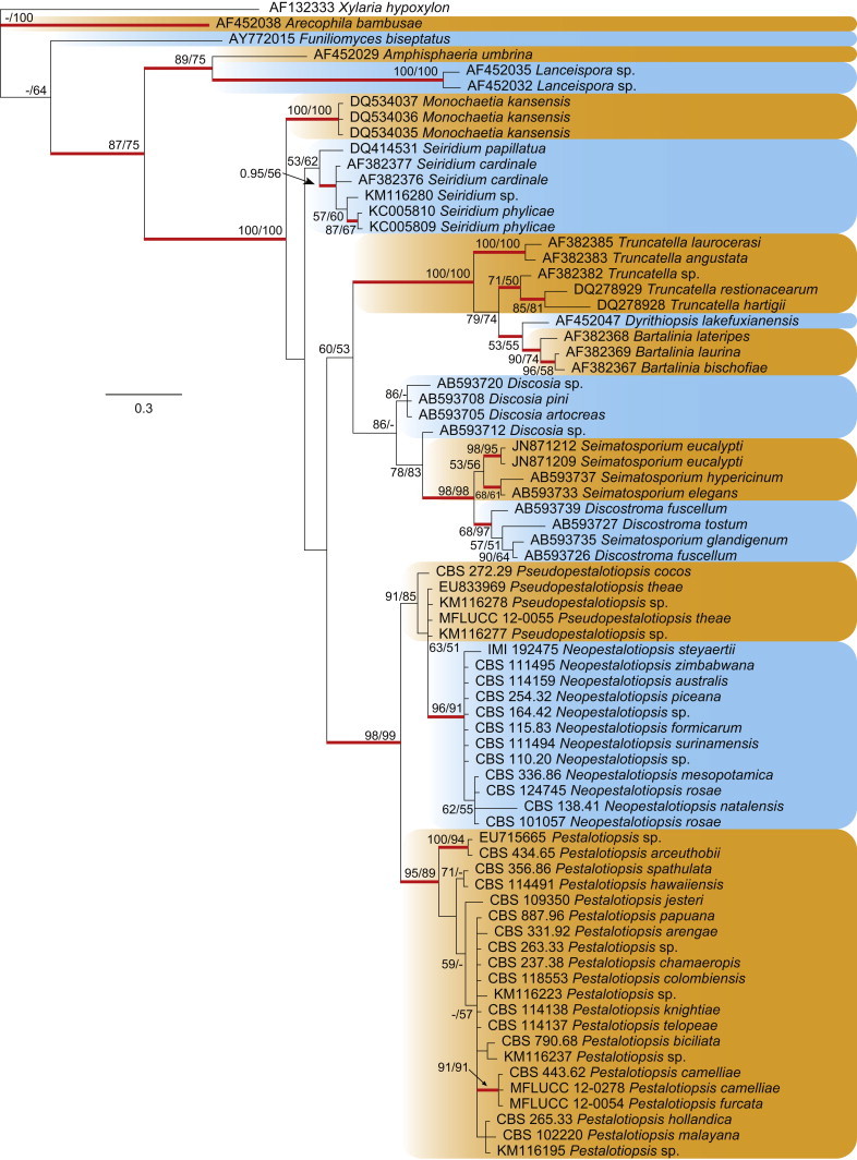 Fig. 3