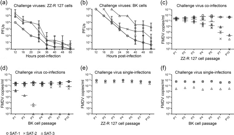 FIG 4