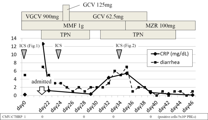 Figure 4.